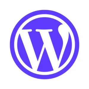 Wordpress theme